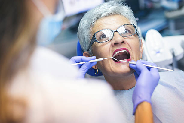 Trusted Summit Park, UT  Holistic Dental Services Experts